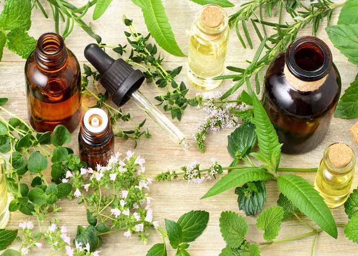 Nature’s Best: Discover the Advantages of Plant-Based Skincare Products