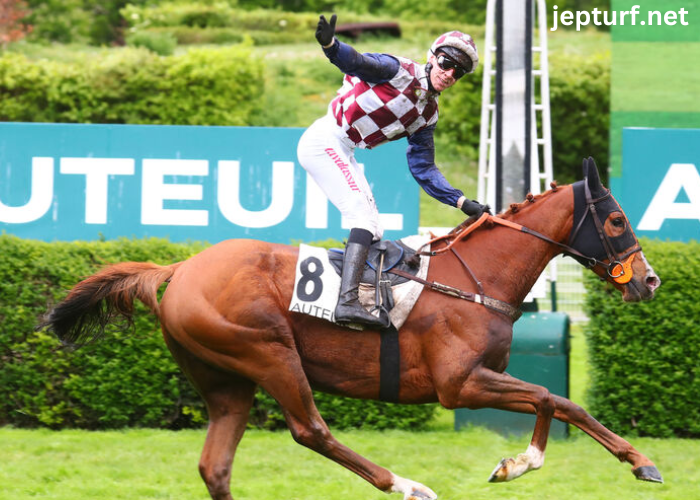 Journal Hippique Du JourTip Top Course